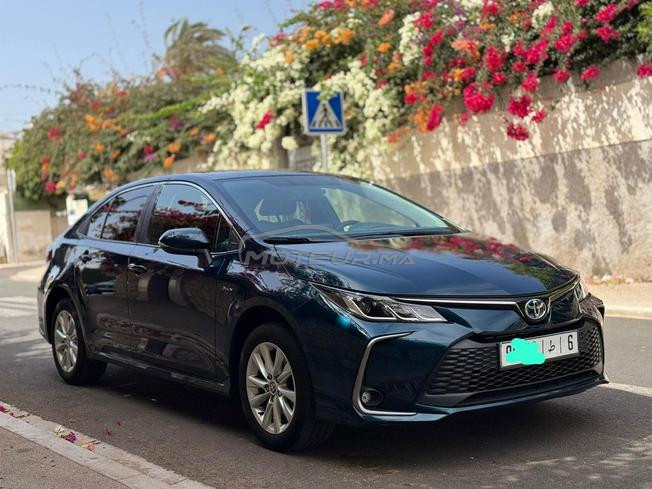 Toyota Corolla 2025 Hybride 31 000km