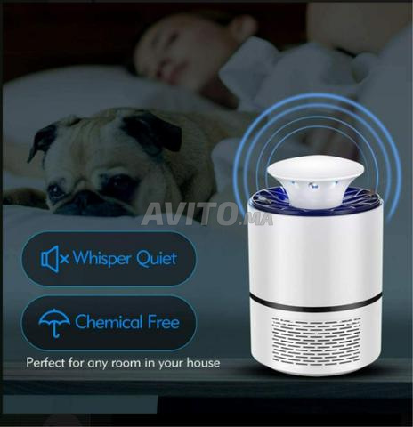 Meilleur appareil pour chasser les insectes