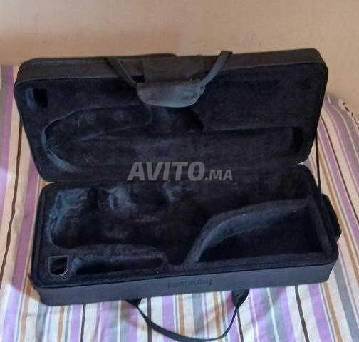 Pochette de saxophone alto - 2