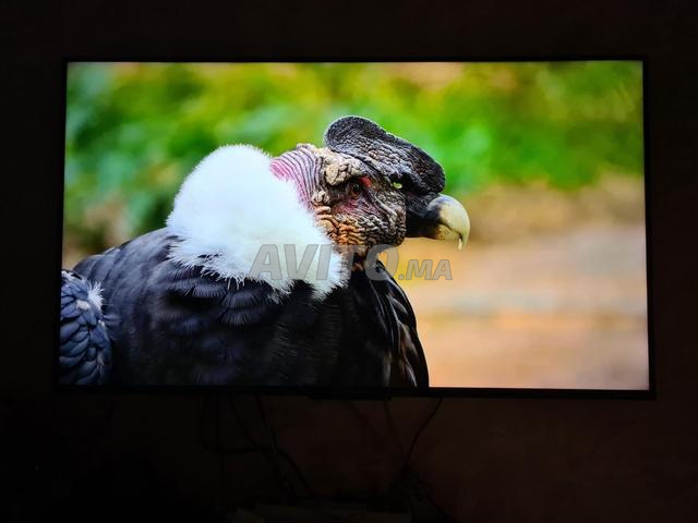 Télé xiaomi 55 pouces à vendre. - 2