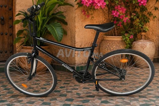 Vélo Riverside léger et confortable pour les déplacements quotidiens - 2
