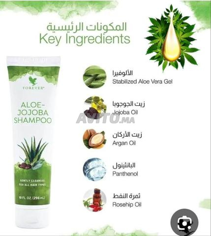 Shampoing Aloé Jojoba Aloe-JOJOBA shampoo - 2