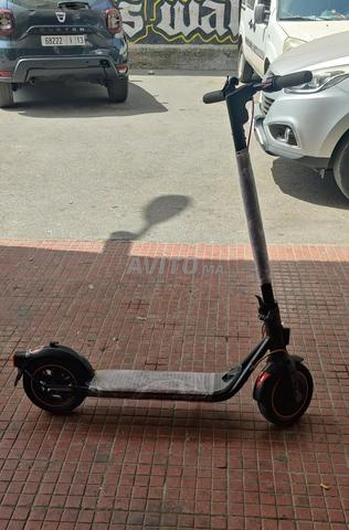 Trottinette Ninebot Segway - 2