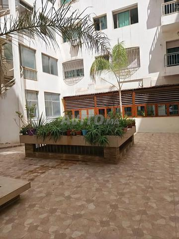 Appartement meublé à louer – Belvédère, Casablanca