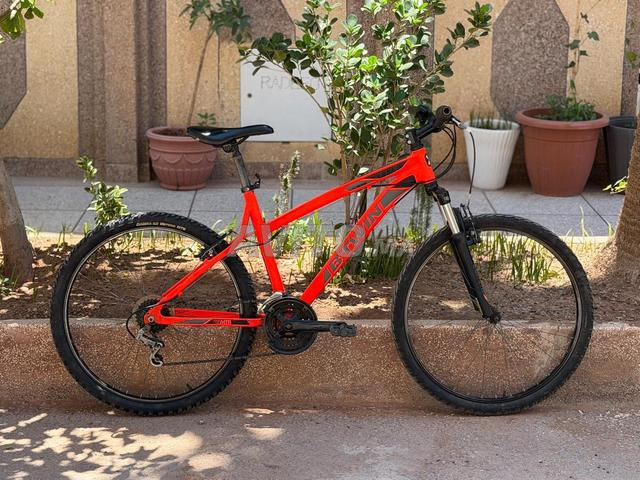 Vélo Bitwin 340 - 2