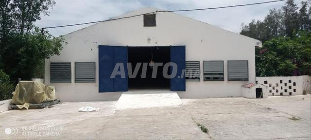 Hangars à louer – Oum Azza 5km de la rocade