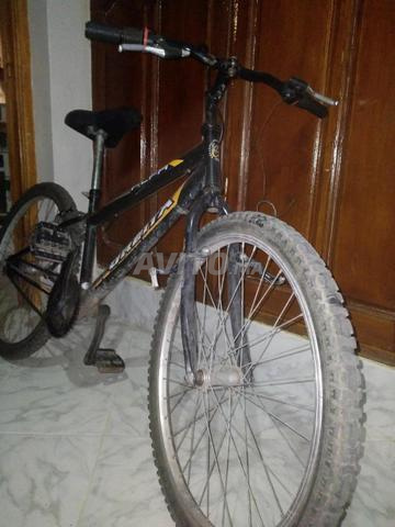 Vélo Orbita - 2