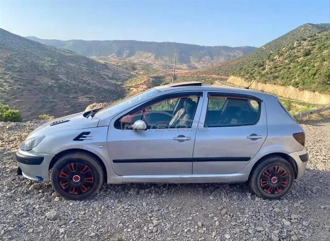 Peugeot 307 Essence Manuelle 2002 