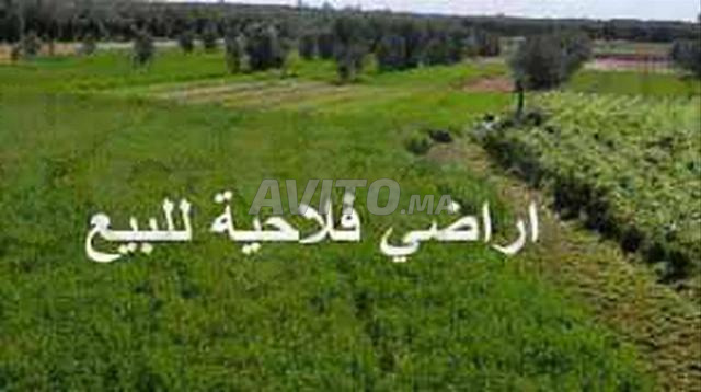 UN HECTARE AGRICOLE A VENDRE
