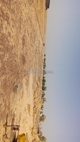 Terre agricole Douar Zouatna Commune Jaqma Berrechid - 2