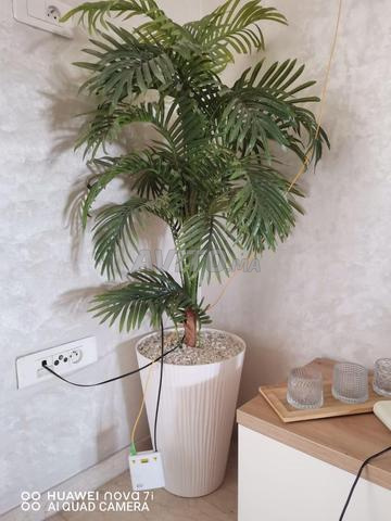 2 plantes artificielles - 2