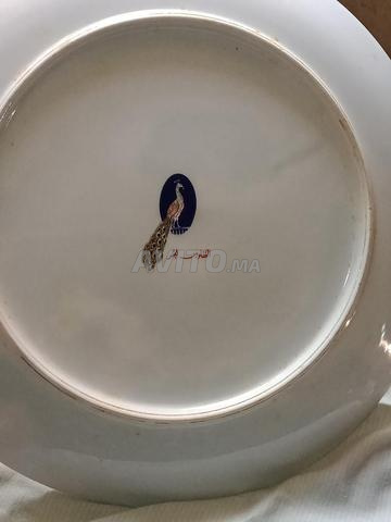 الطاووس الحر فوق 50 سنة المرجو التواصل على الرقم - 2