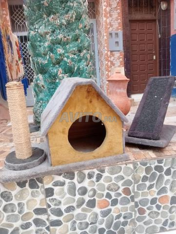 Maison pour chats - 2