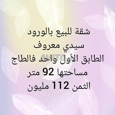 سيدي معروف