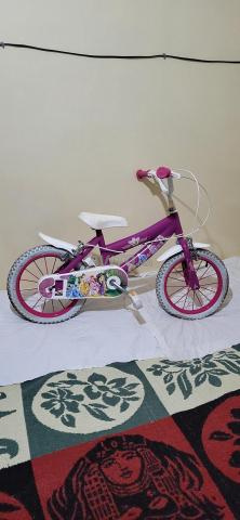 🇫🇷 Vélo enfant 14 pouces Disney Princess