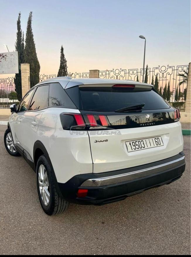 مكناس اي كاميليا 