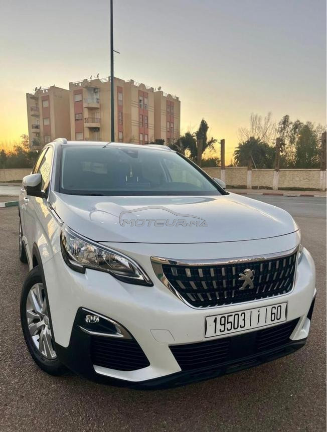 مكناس اي كاميليا 