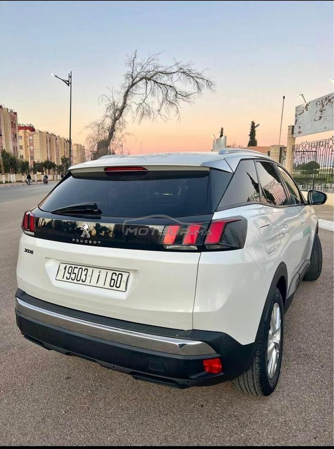 مكناس اي كاميليا 