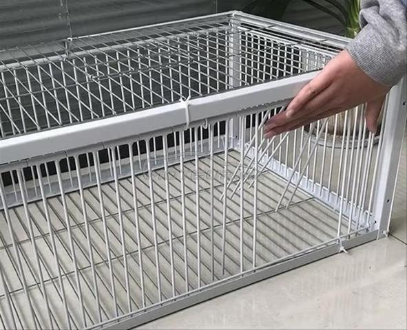 شباك لإصتياد الطيور - 2