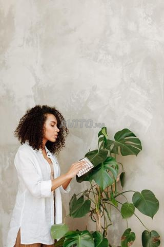 nounou ménage cuisine aide garde domicile