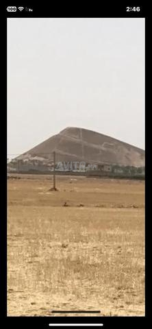 أرض فلاحية محفظة - 2