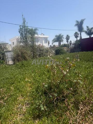 Terrain 324 m² avec 3 Façades à Harhoura Beethoven
