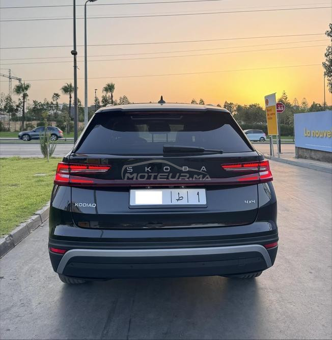 Skoda Kodiaq 2026 5000km