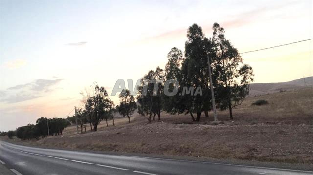 أرض محفظة على طريق الغرب 🌿 أرض فلاحية محفظة