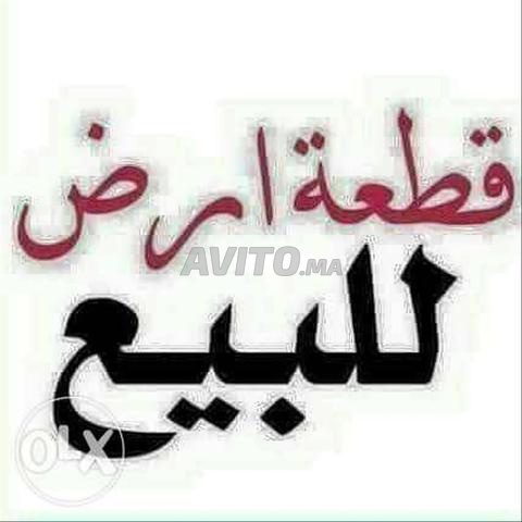 حي النسيم 2 إسلان اليساسفة - 2
