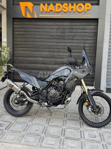 تينيري 700 2024