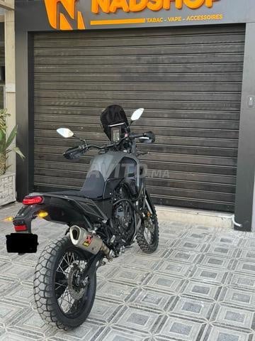 تينيري 700 2024