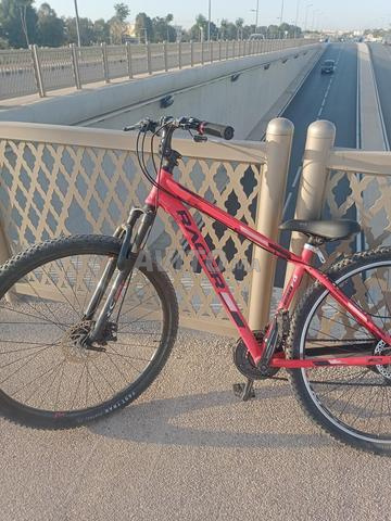 Vélo RACER FD290 - 2