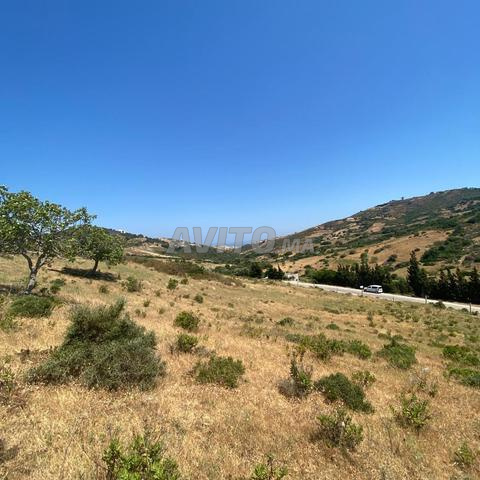 أرض مسجلة للبيع - 2