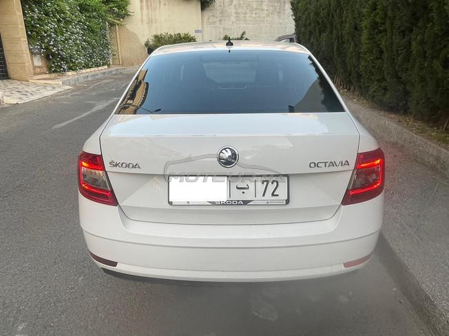 Skouda octavia