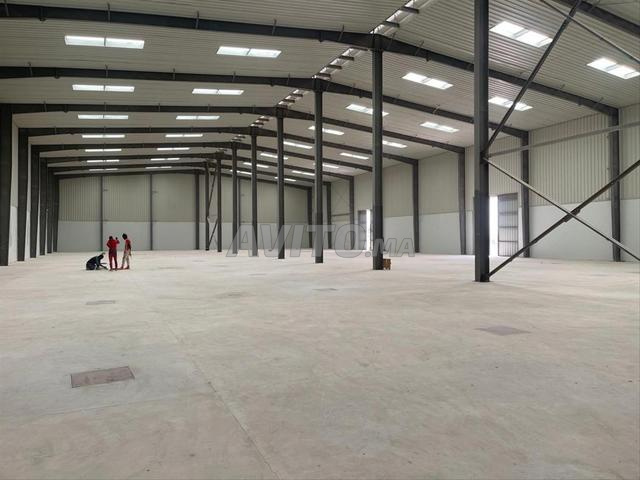 Hangar à louer