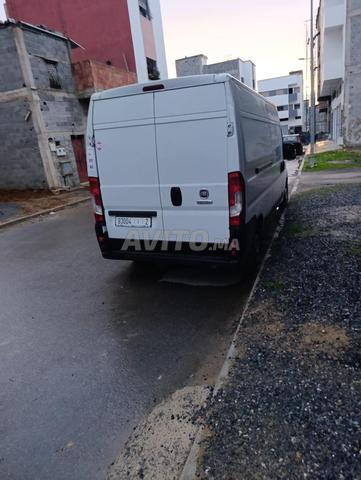 Fiat Ducato 2020 - 2