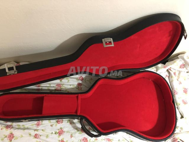 Valise de guitare professionnelle - 2