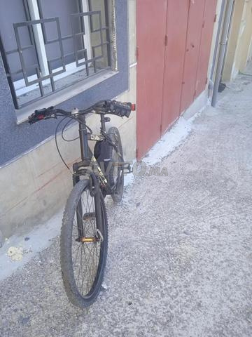 Bobana Tanger - 2