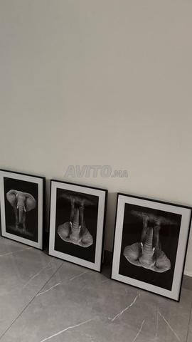 Lot de 3 tableaux éléphant noir et blanc