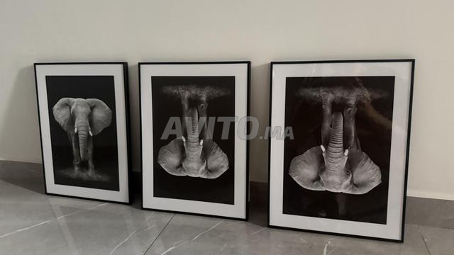 مجموعة من 3 لوحات فيل بالأبيض والأسود - 2