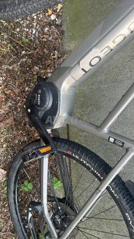 Très beau vélo - 2