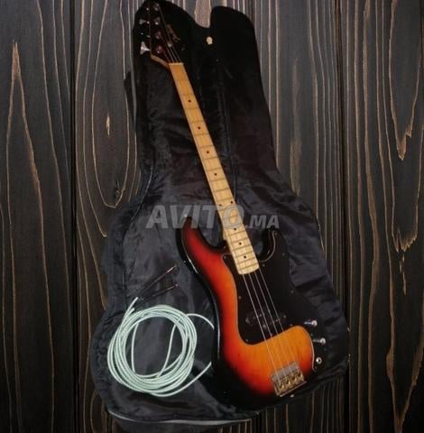 حزمة جيتار باس Jim Harley / مضخم صوت Peavey