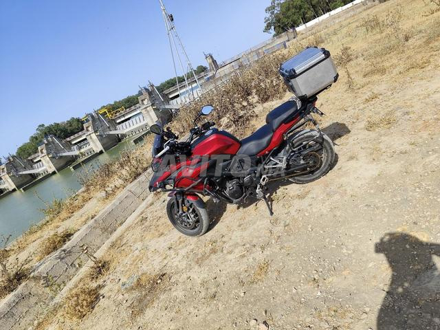 Benelli TRK