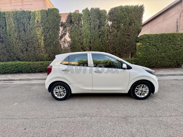 Kia Picanto 1ère 🤚 Automatique 2021 à Marrakech - 2