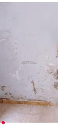صبغة طنجة صباغ - 2
