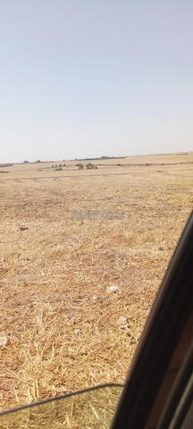 Oulad Said Aqlam Settat - 2