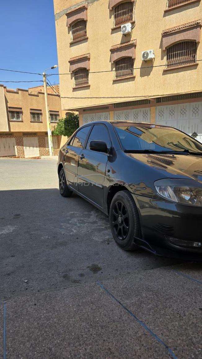 loto l3amra n9iya bzzzf 