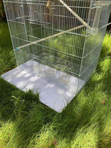 Grande cage à Oiseaux - 2