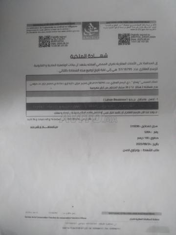 terrains titre (zar ) (hr) - 2