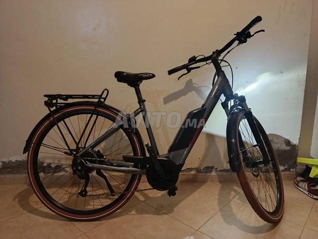 Vélo électrique 1493 km - 2